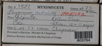 Image Associated With the Occurence